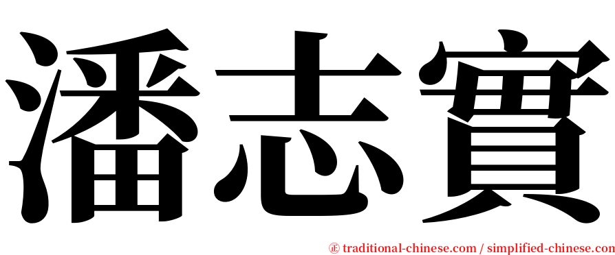 潘志實 serif font