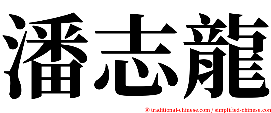 潘志龍 serif font