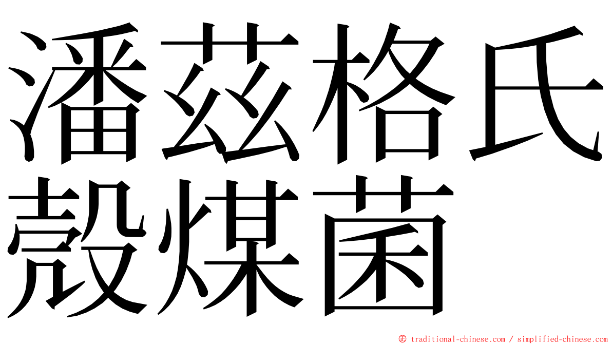 潘茲格氏殼煤菌 ming font