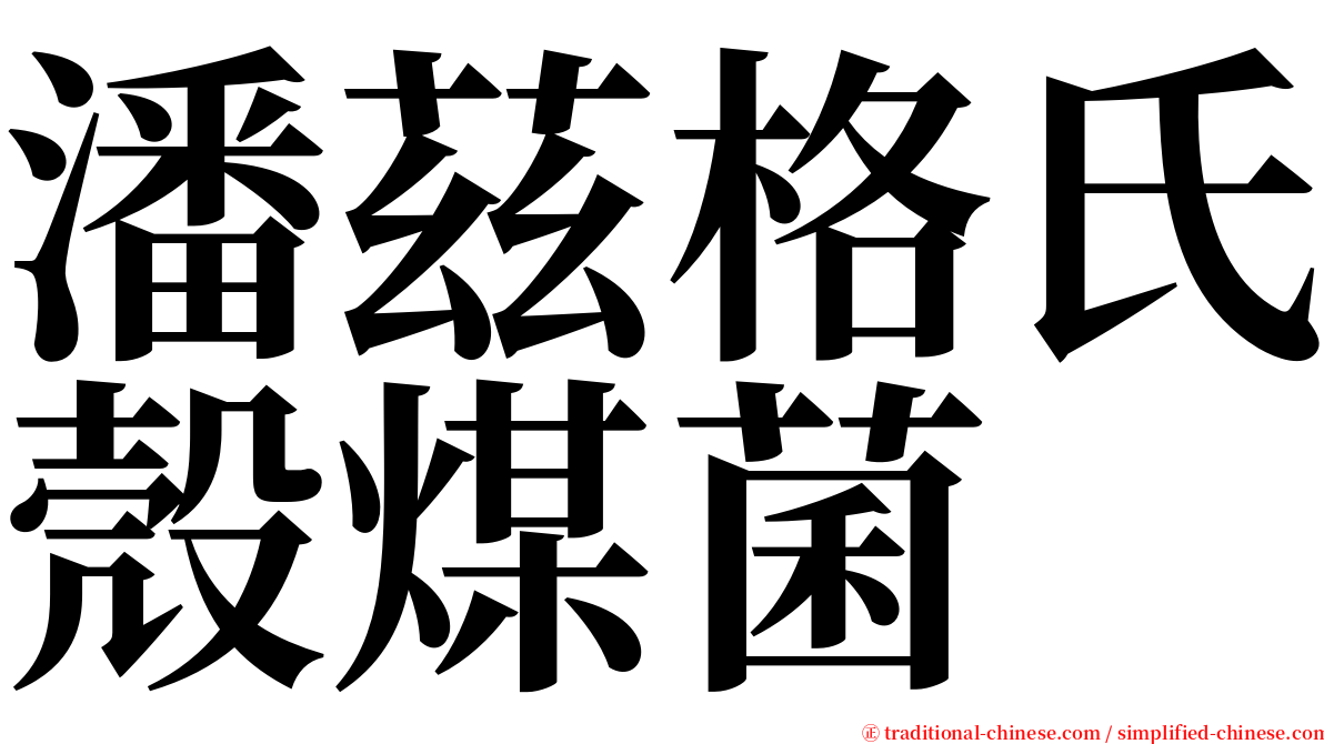 潘茲格氏殼煤菌 serif font