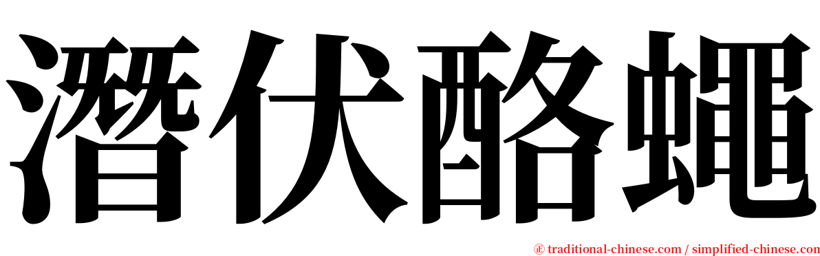 潛伏酪蠅 serif font