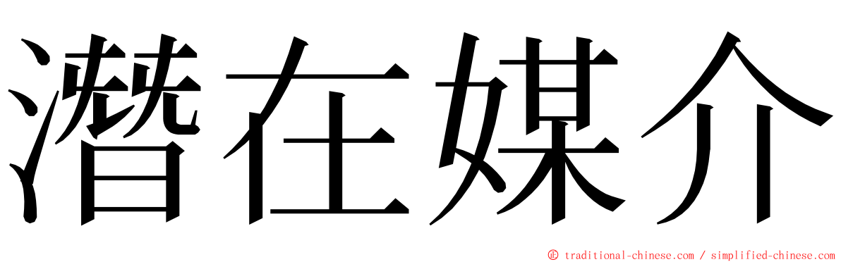 潛在媒介 ming font