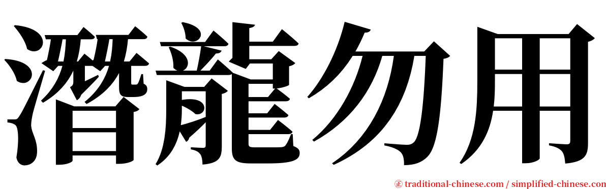 潛龍勿用 serif font