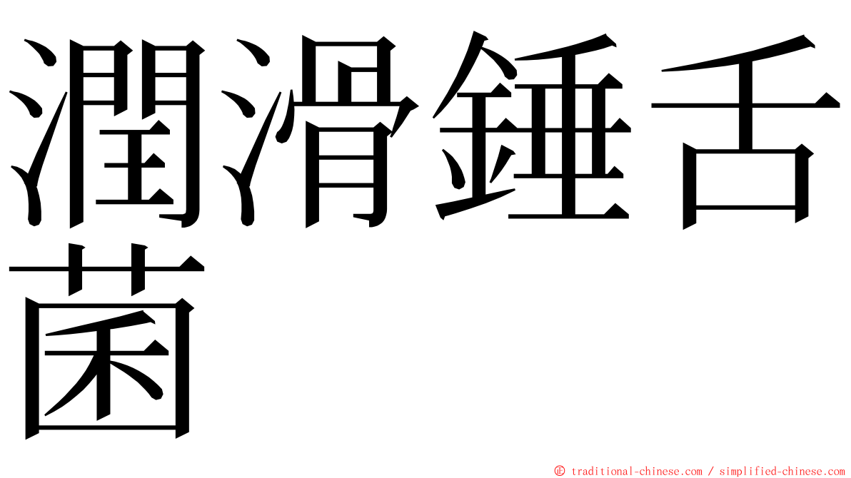 潤滑錘舌菌 ming font