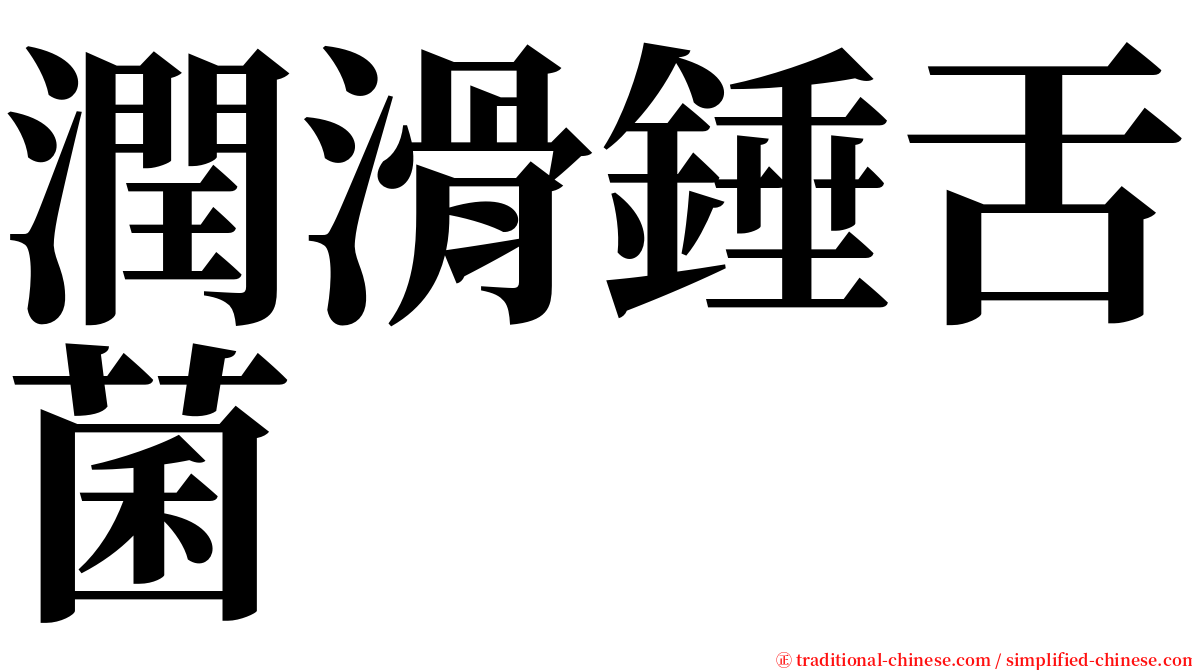 潤滑錘舌菌 serif font