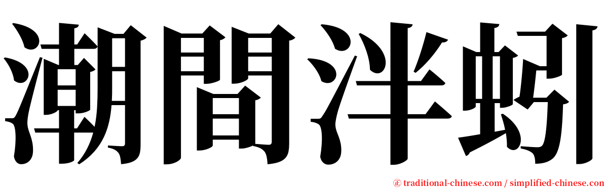 潮間泮蚓 serif font