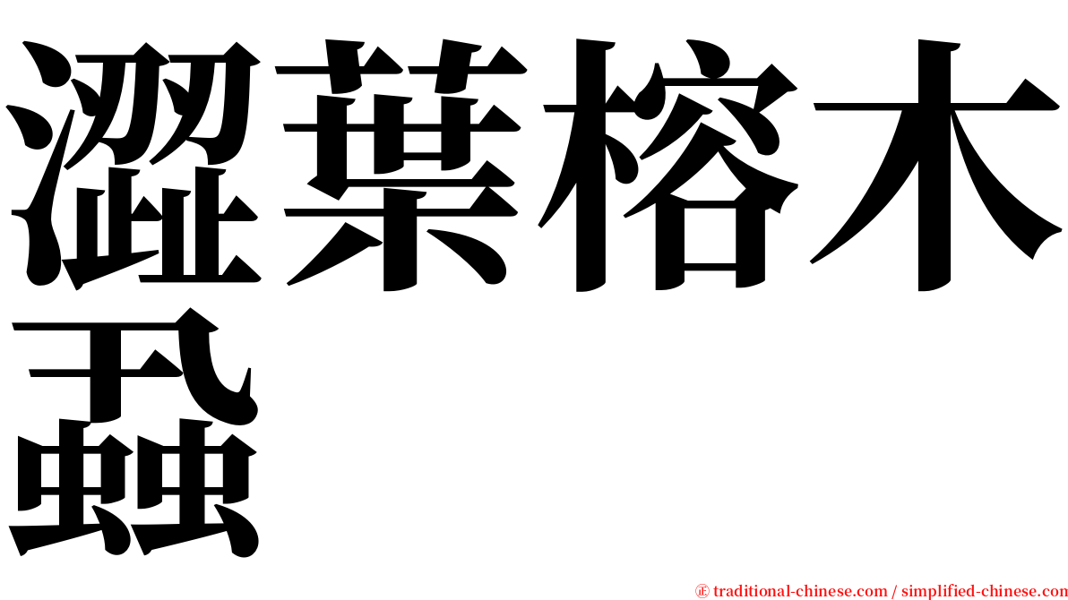 澀葉榕木蝨 serif font