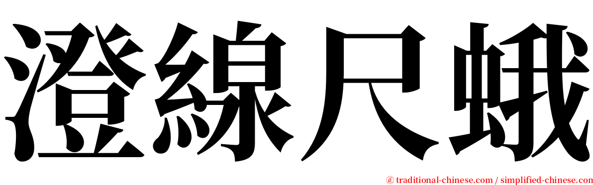 澄線尺蛾 serif font