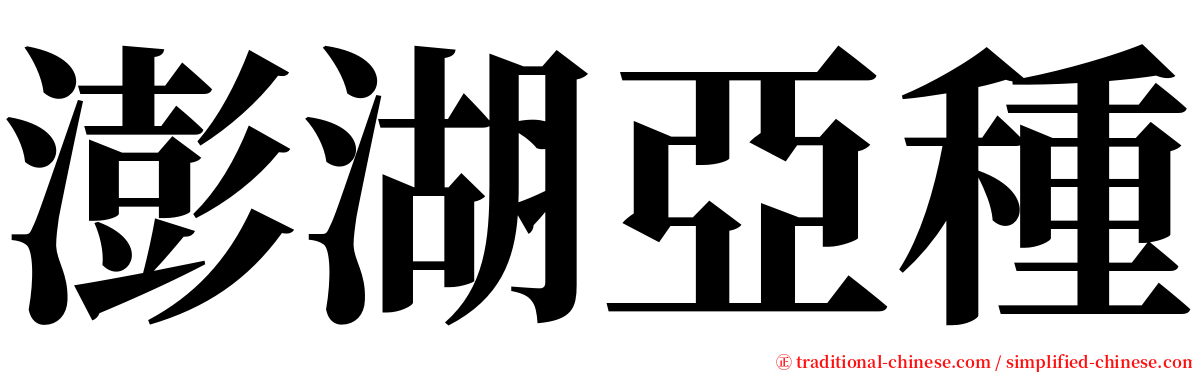 澎湖亞種 serif font