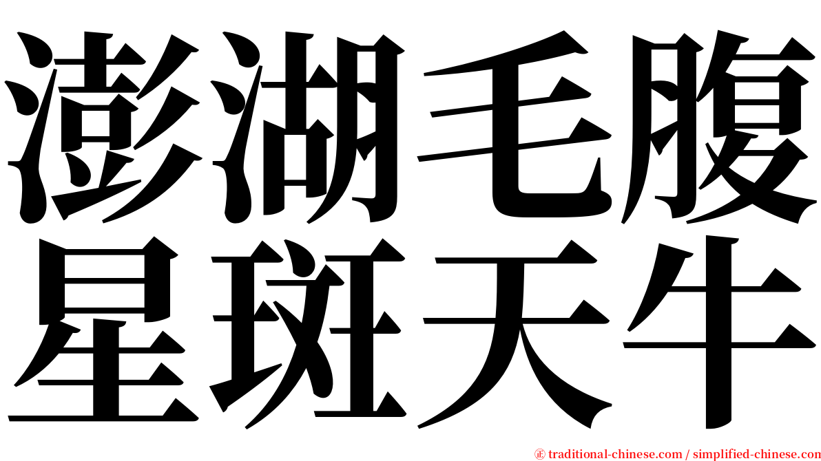 澎湖毛腹星斑天牛 serif font
