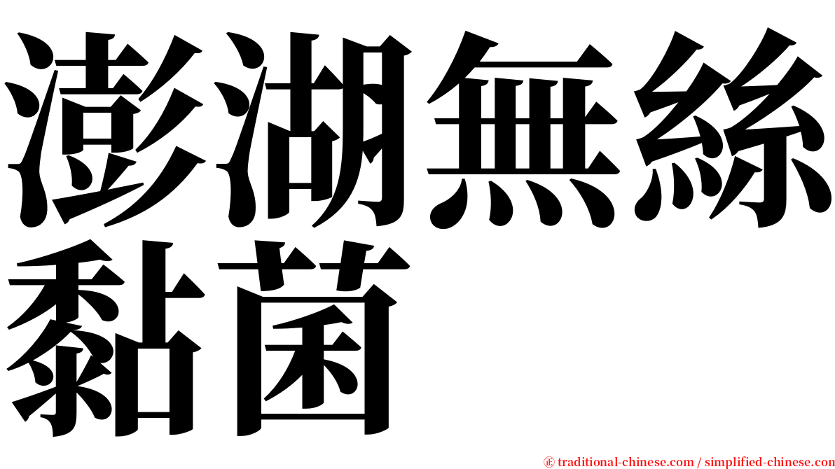 澎湖無絲黏菌 serif font