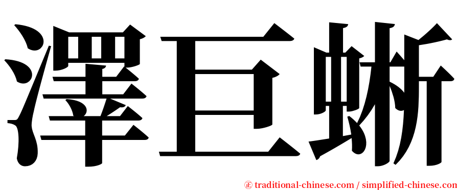 澤巨蜥 serif font