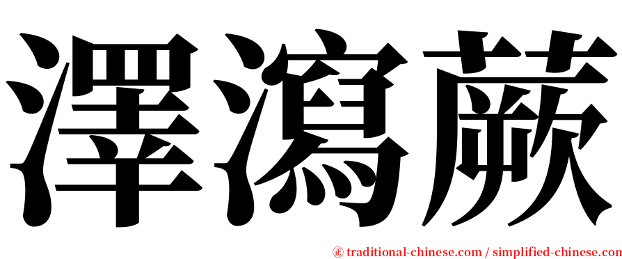 澤瀉蕨 serif font