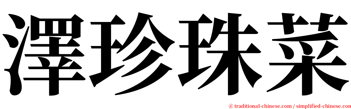 澤珍珠菜 serif font