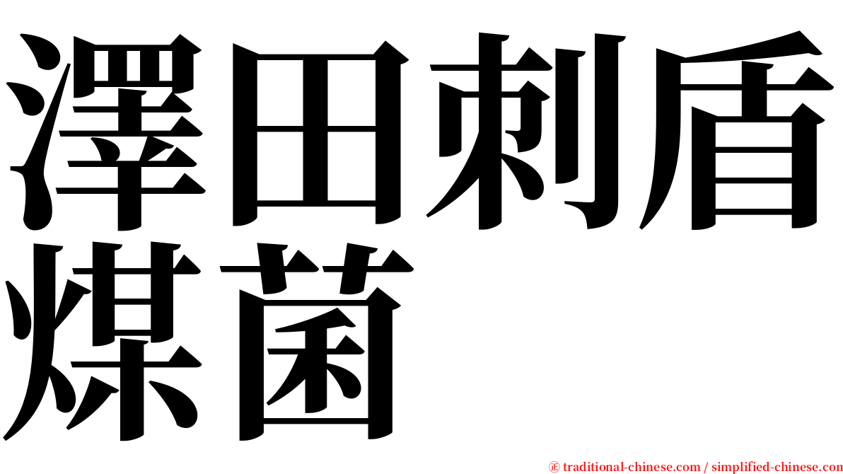 澤田刺盾煤菌 serif font