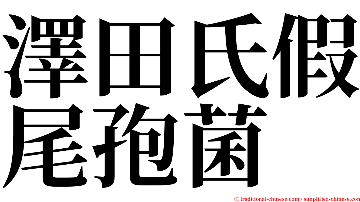 澤田氏假尾孢菌 serif font