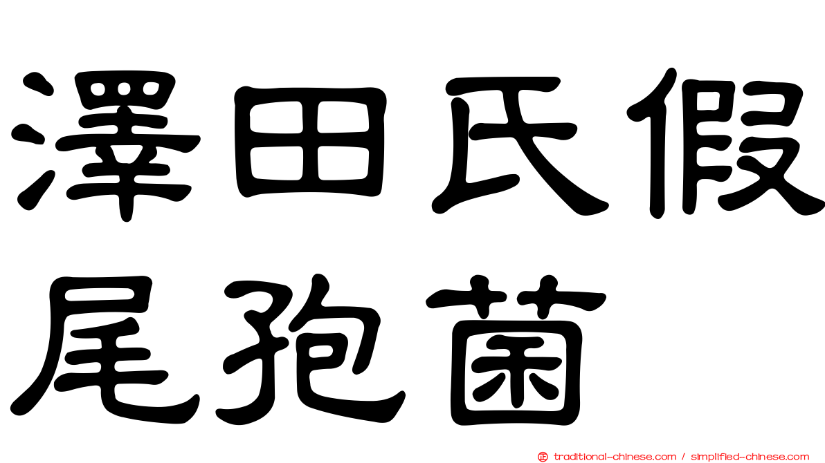 澤田氏假尾孢菌