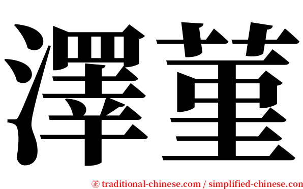 澤菫 serif font