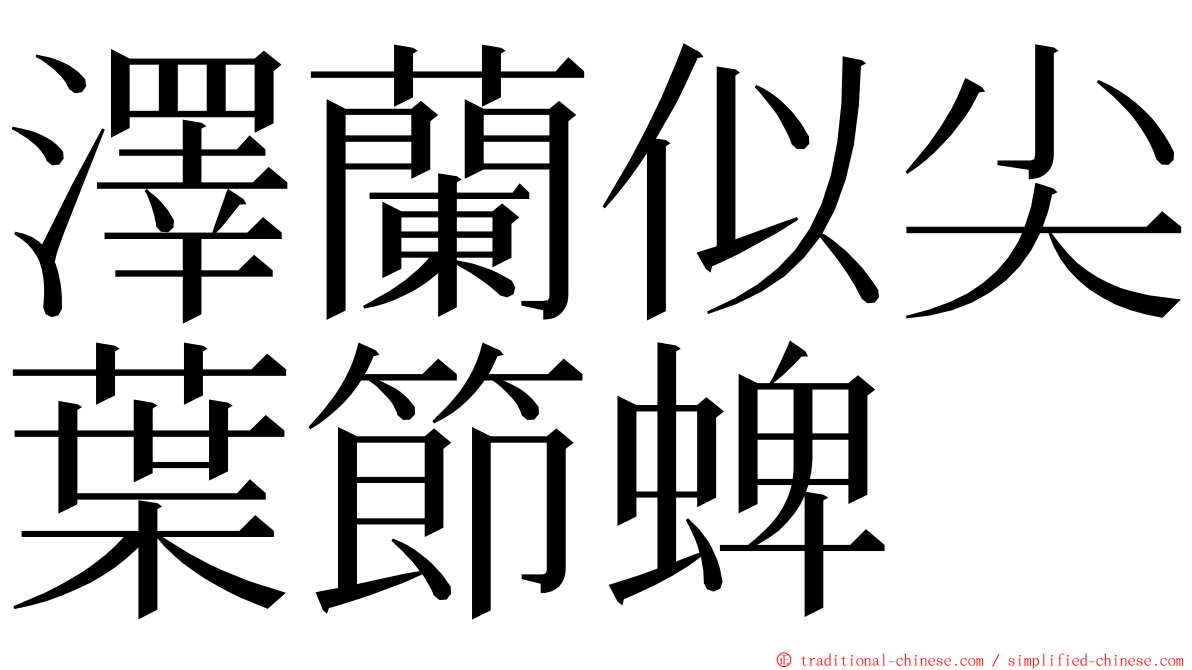 澤蘭似尖葉節蜱 ming font