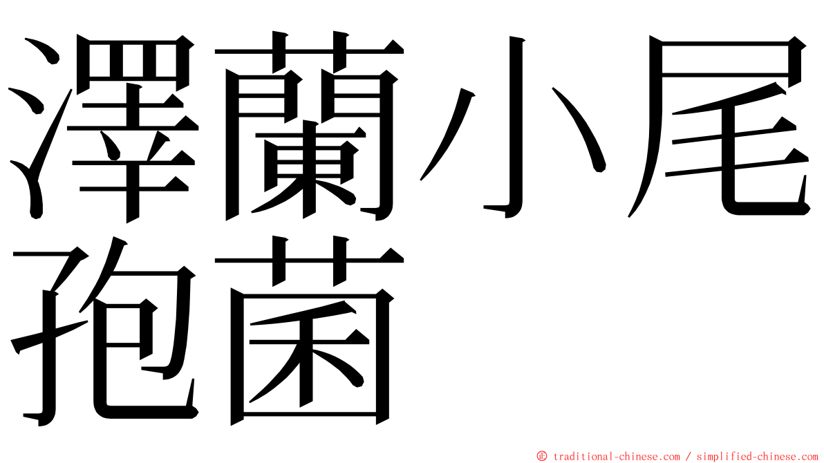 澤蘭小尾孢菌 ming font