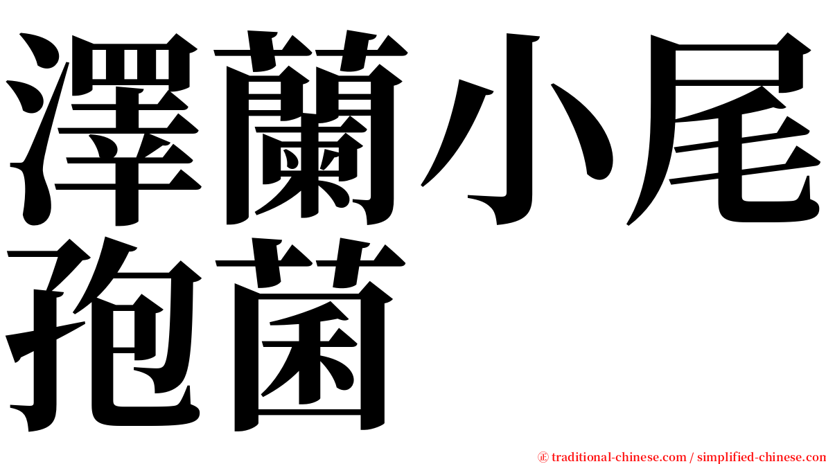 澤蘭小尾孢菌 serif font