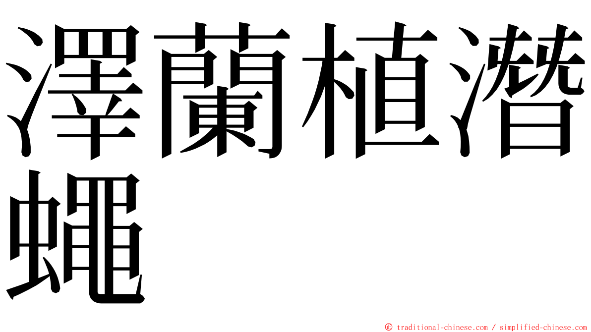 澤蘭植潛蠅 ming font