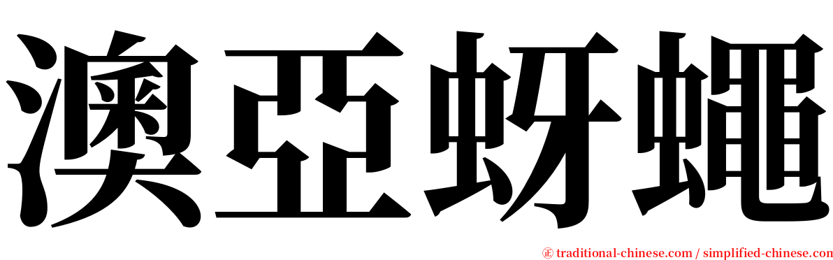 澳亞蚜蠅 serif font