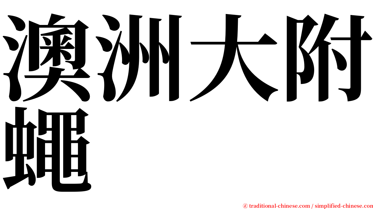 澳洲大附蠅 serif font