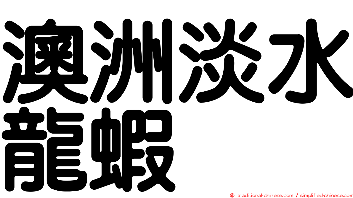澳洲淡水龍蝦