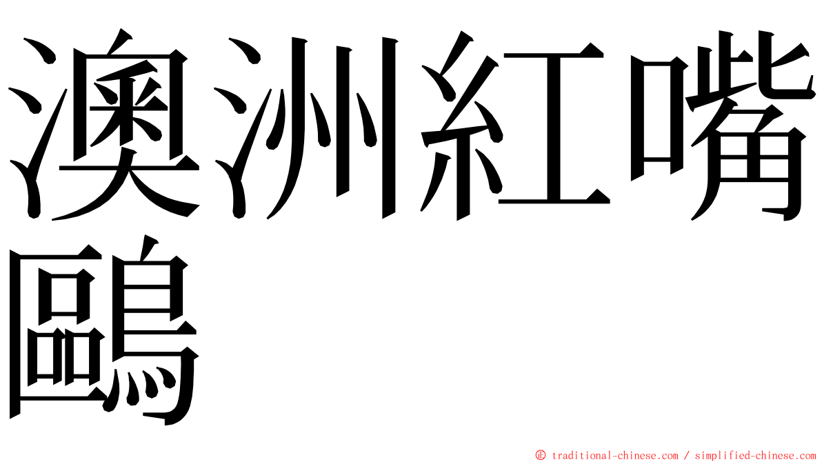 澳洲紅嘴鷗 ming font