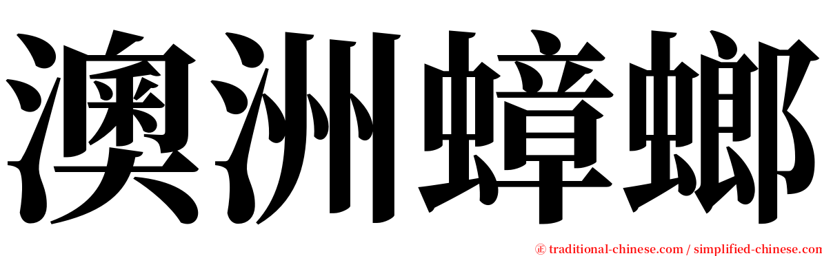 澳洲蟑螂 serif font