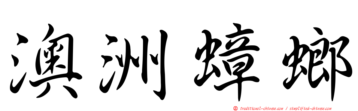 澳洲蟑螂