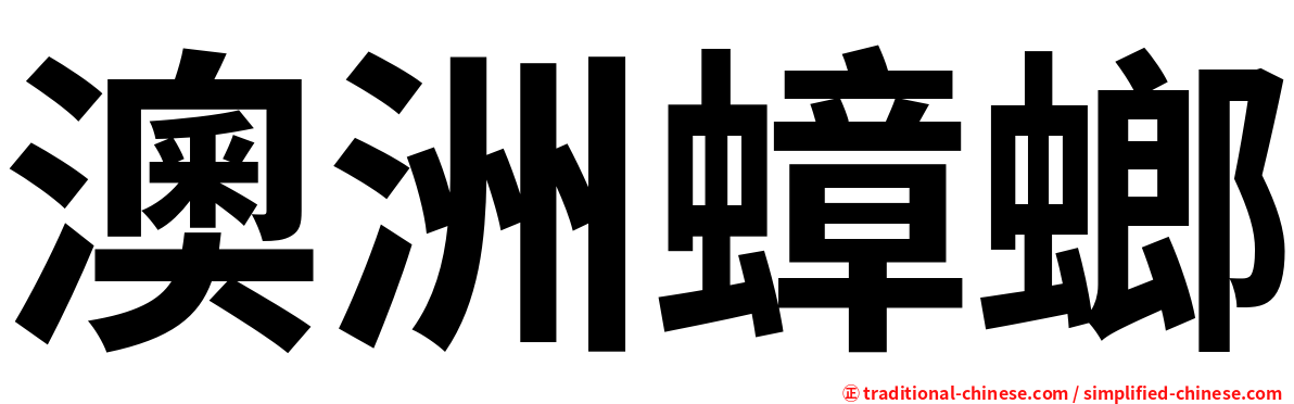 澳洲蟑螂