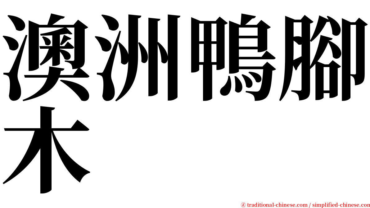 澳洲鴨腳木 serif font