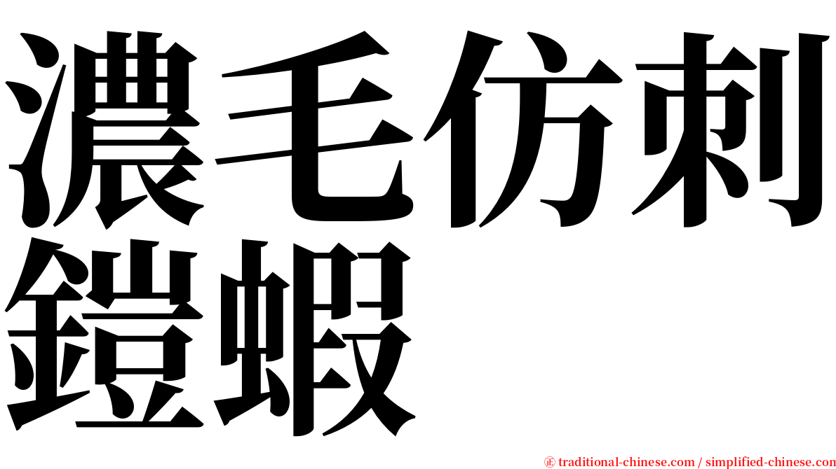 濃毛仿刺鎧蝦 serif font