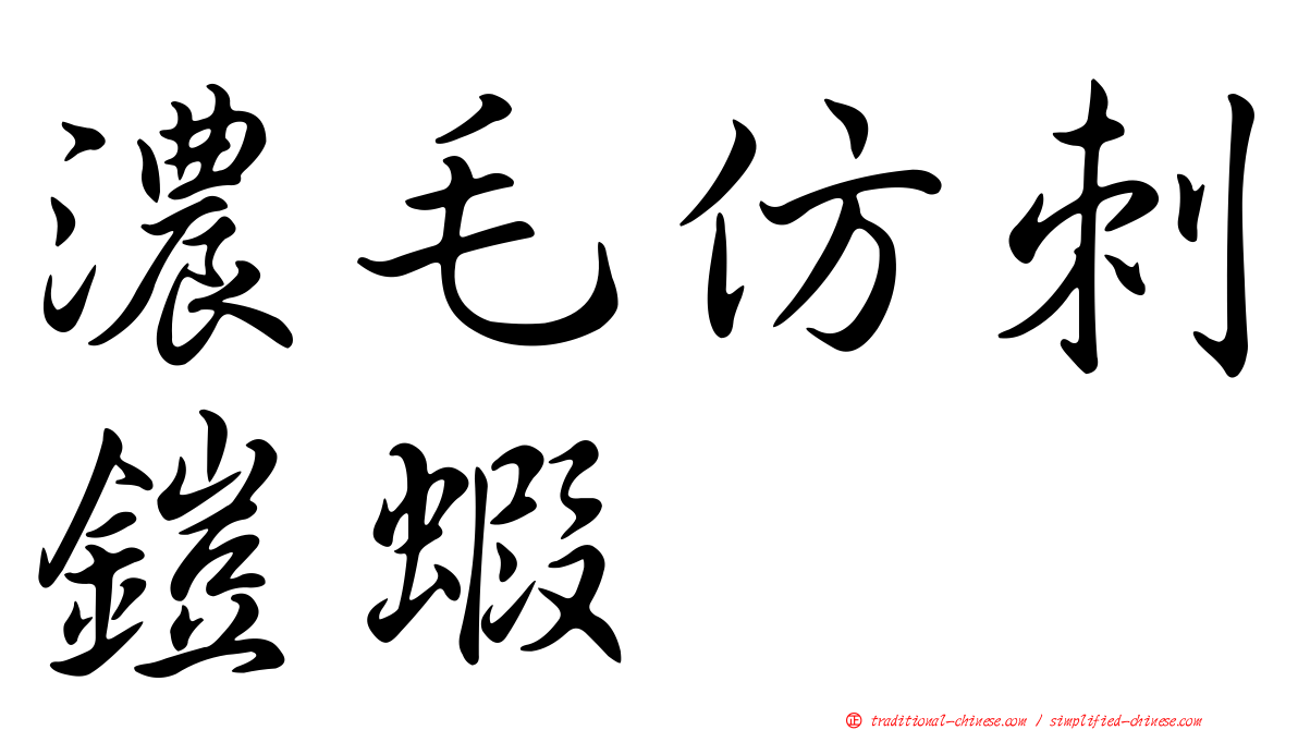 濃毛仿刺鎧蝦