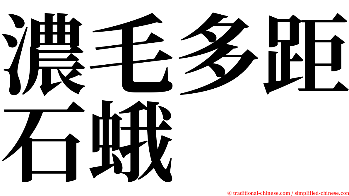 濃毛多距石蛾 serif font