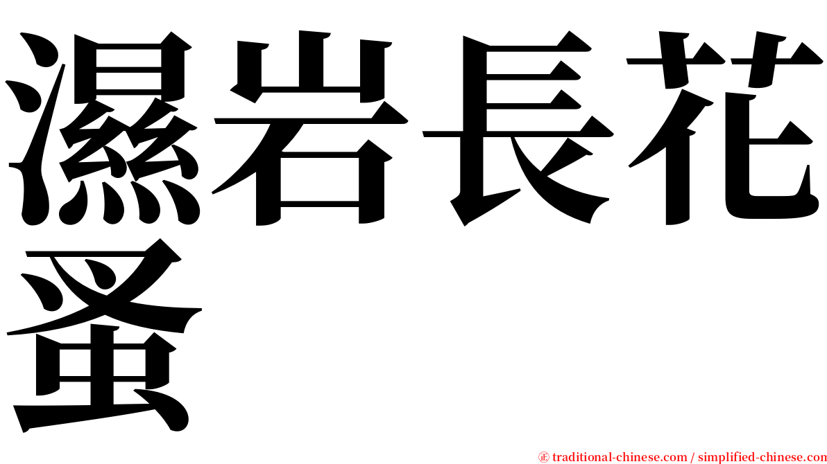 濕岩長花蚤 serif font