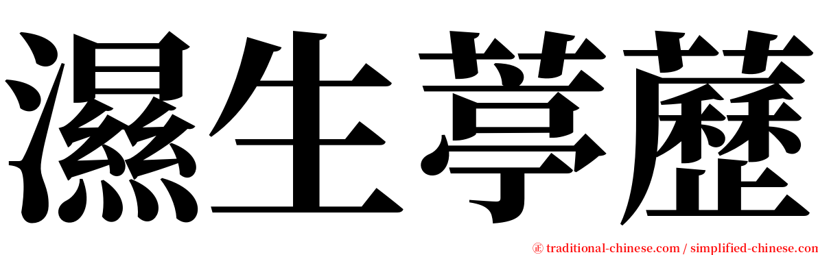 濕生葶藶 serif font