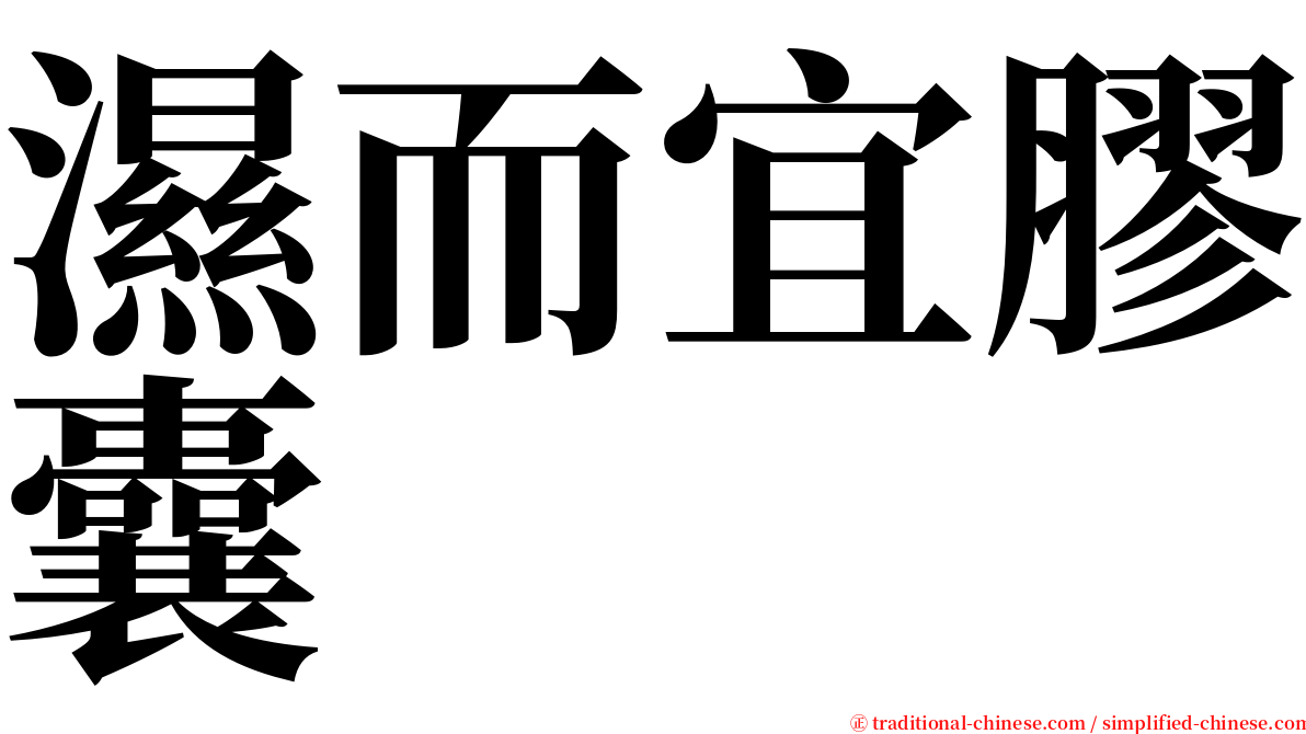 濕而宜膠囊 serif font