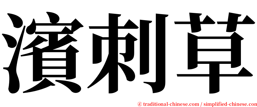 濱刺草 serif font