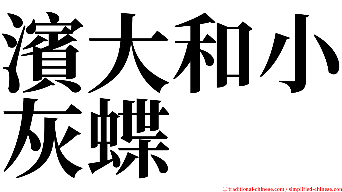 濱大和小灰蝶 serif font