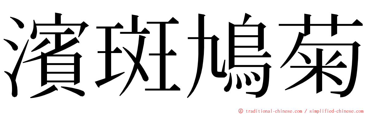 濱斑鳩菊 ming font