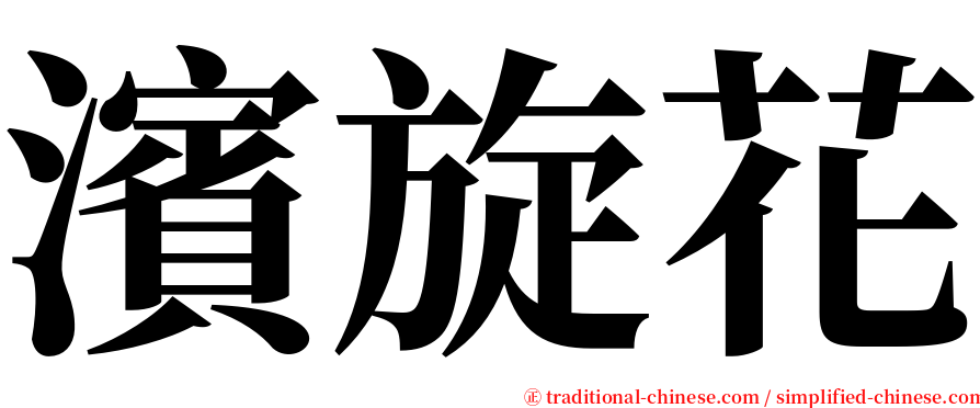 濱旋花 serif font