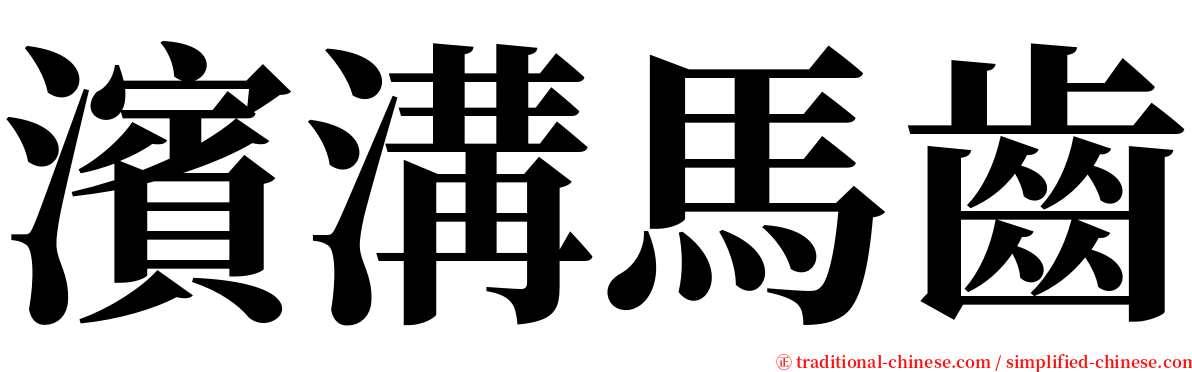 濱溝馬齒 serif font