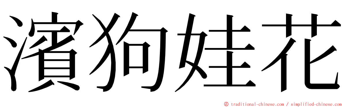 濱狗娃花 ming font