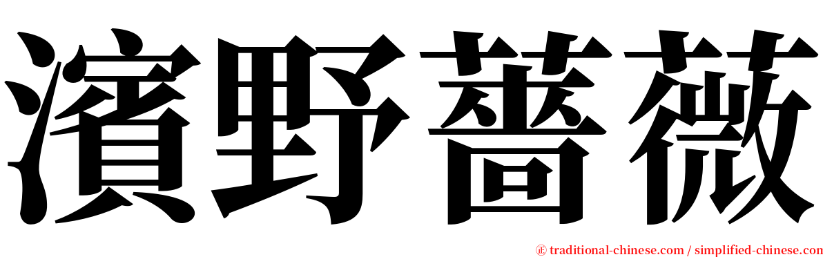 濱野薔薇 serif font