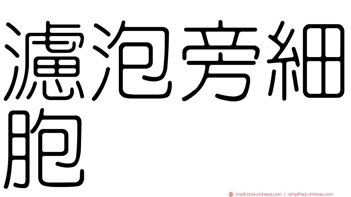 濾泡旁細胞