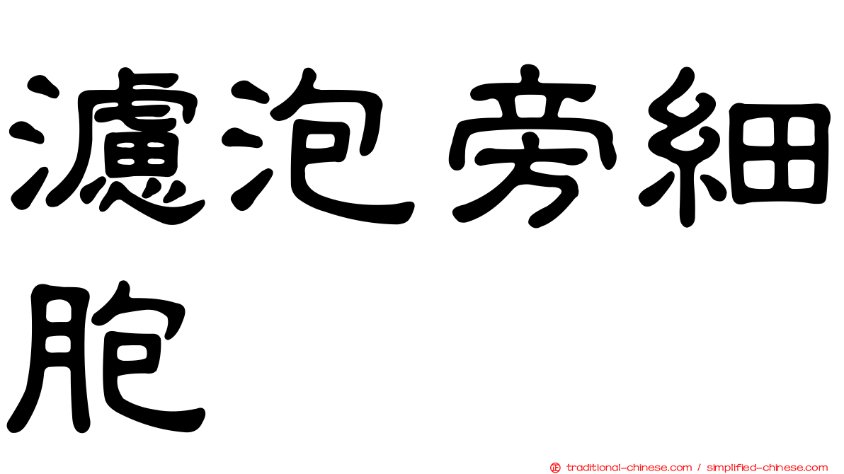 濾泡旁細胞