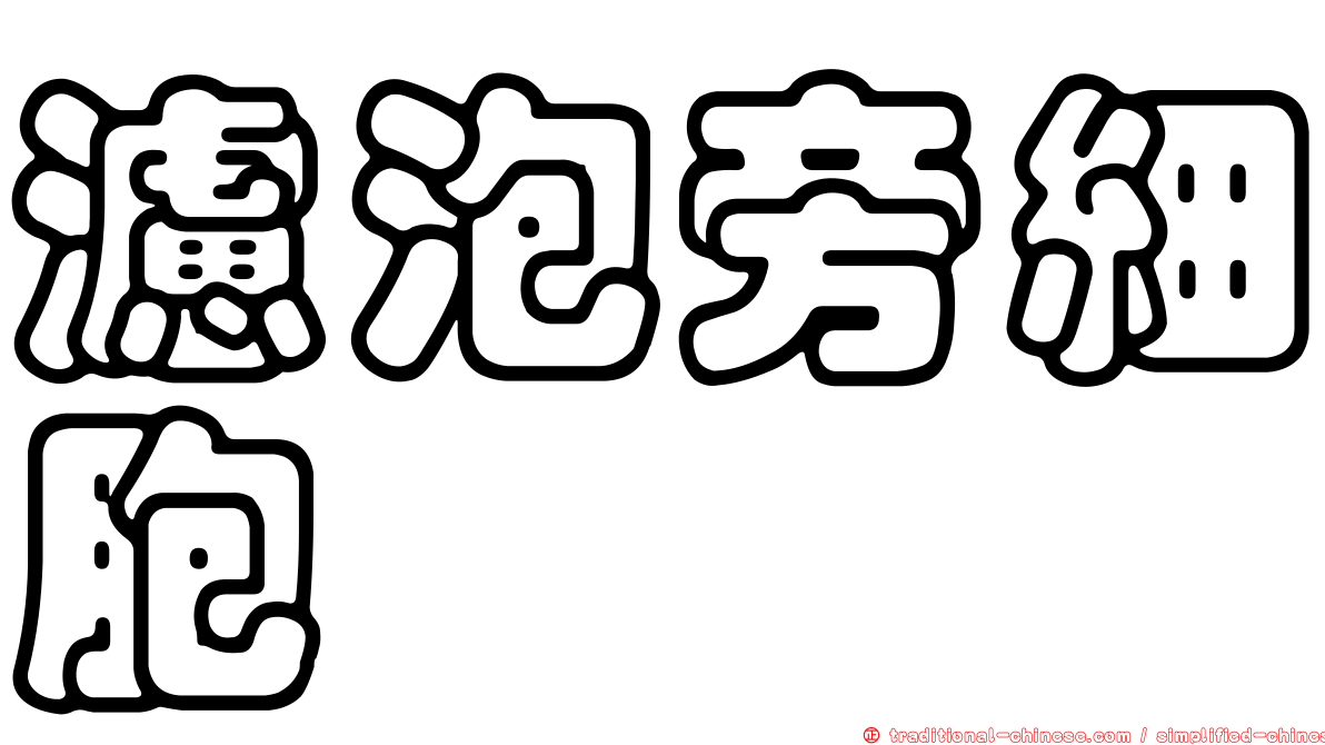 濾泡旁細胞